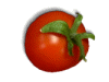 Captcha image 2713