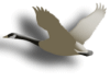Captcha image 1599
