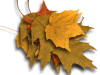 Captcha image 5113