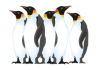 Captcha image 7501